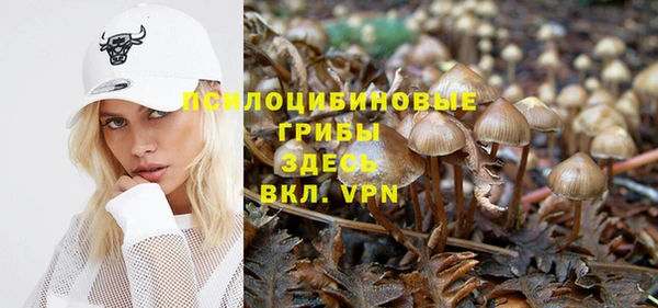 кокаин Алексин
