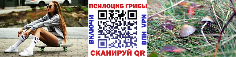 Галлюциногенные грибы Psilocybine cubensis  Ардатов 
